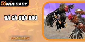 Đá Gà Cựa Dao – Đỉnh Cao Nghệ Thuật Chiến Kê Tại 56Win