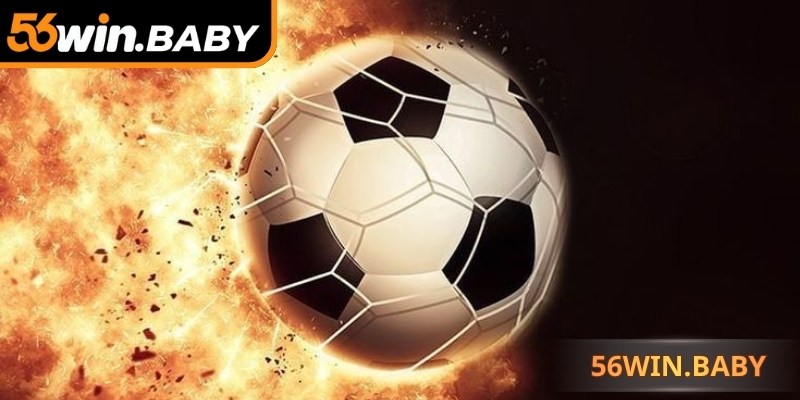 Những nguyên tắc cần tuân thủ để theo dõi tỷ lệ hiệu quả