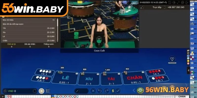 Quan sát chu kỳ ra kết quả để cân nhắc chọn cược